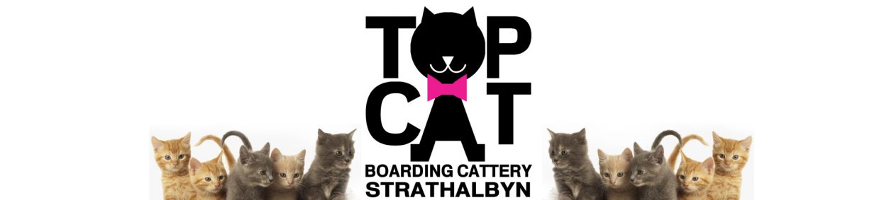 Top Cat Boarding